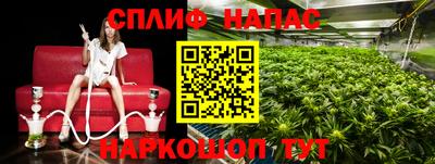 spice Бузулук