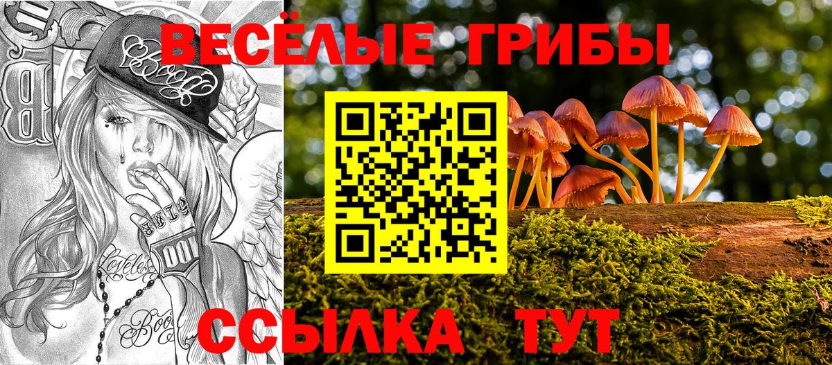 Псилоцибиновые грибы мицелий Усть-Илимск